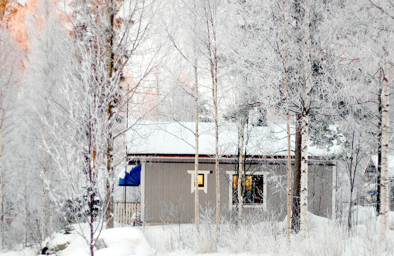 Revontuli Resort Cottages Hankasalmi Екстериор снимка
